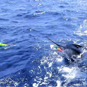 Safari12 - Made with DesignCap