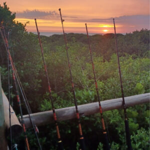 Safari13 - Made with DesignCap