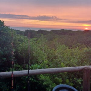 Safari14 - Made with DesignCap