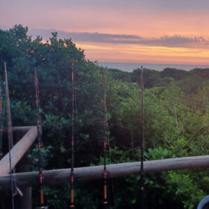 Safari17 - Made with DesignCap