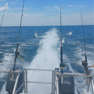 Safari18 - Made with DesignCap