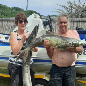 Safari20 - Made with DesignCap