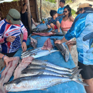 Safari8 - Made with DesignCap