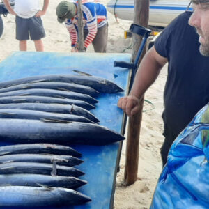 Safari9 - Made with DesignCap