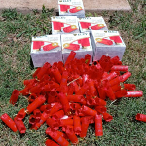 Team6 - Made with DesignCap