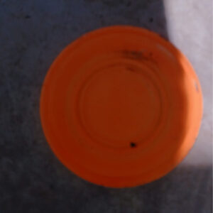 Team8 - Made with DesignCap