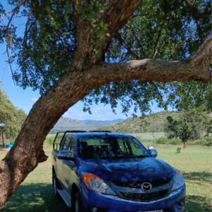 Team9 - Made with DesignCap