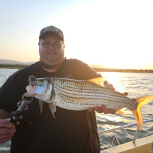 Pongolapoort1 - Made with DesignCap