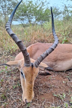 WhatsApp Image 2024-10-29 at 19.32.12 (2) WhatsApp Image 2024-10-29 at 19.32.12 (2)