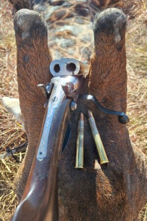 WhatsApp Image 2024-10-29 at 19.32.13 WhatsApp Image 2024-10-29 at 19.32.13