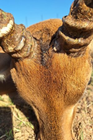 WhatsApp Image 2024-10-29 at 19.35.04 (1) WhatsApp Image 2024-10-29 at 19.35.04 (1)