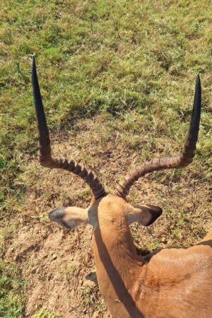 WhatsApp Image 2024-10-29 at 19.35.04 WhatsApp Image 2024-10-29 at 19.35.04