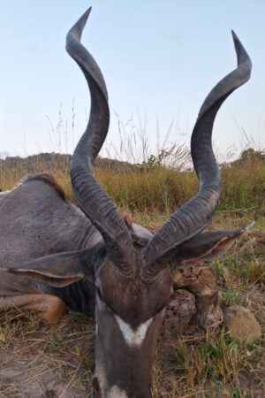 WhatsApp Image 2024-10-29 at 19.35.05 WhatsApp Image 2024-10-29 at 19.35.05