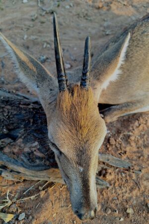 WhatsApp Image 2024-10-29 at 19.37.07 (2) WhatsApp Image 2024-10-29 at 19.37.07 (2)