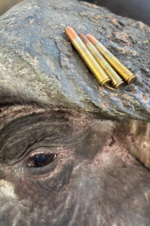 WhatsApp Image 2024-10-29 at 19.39.02 WhatsApp Image 2024-10-29 at 19.39.02