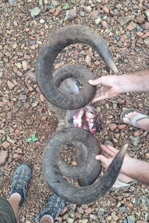 WhatsApp Image 2024-10-29 at 19.45.54 WhatsApp Image 2024-10-29 at 19.45.54