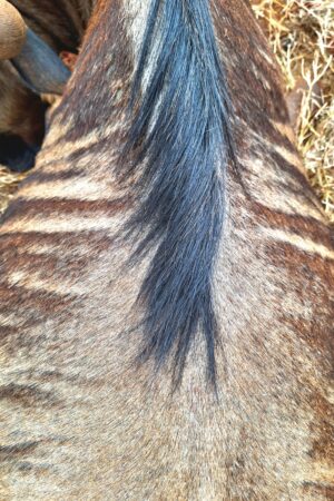 WhatsApp Image 2024-10-29 at 19.45.57 WhatsApp Image 2024-10-29 at 19.45.57