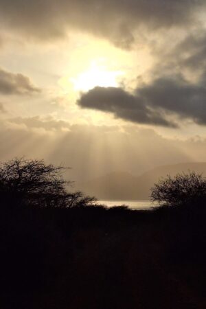 WhatsApp Image 2024-10-29 at 19.45.57 (5) WhatsApp Image 2024-10-29 at 19.45.57 (5)