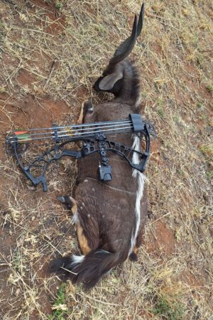 WhatsApp Image 2024-10-29 at 19.49.42 (1) WhatsApp Image 2024-10-29 at 19.49.42 (1)